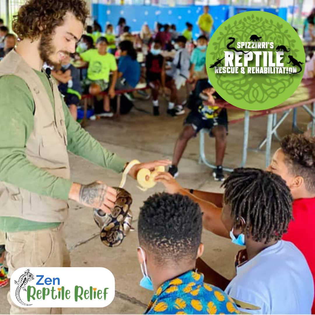 Zen Reptile Relief Donation