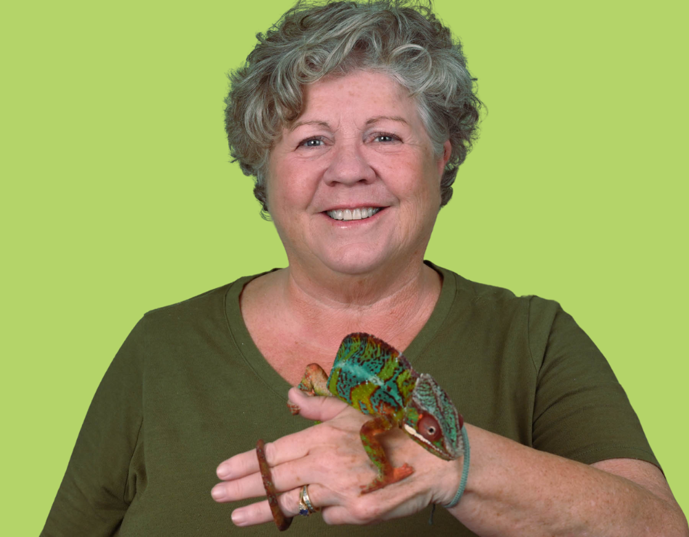 jane and chameleon