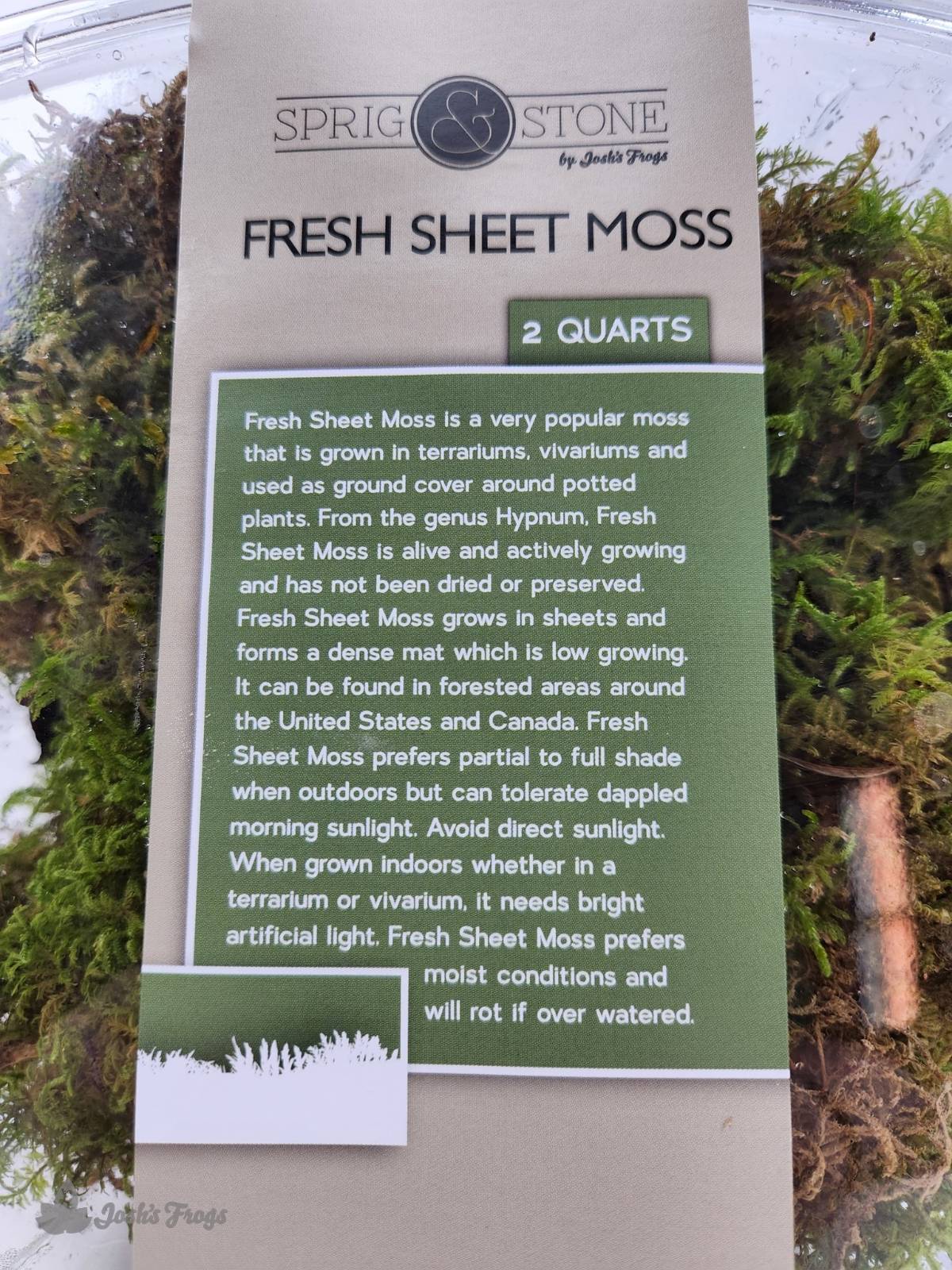 Fresh Sheet Moss