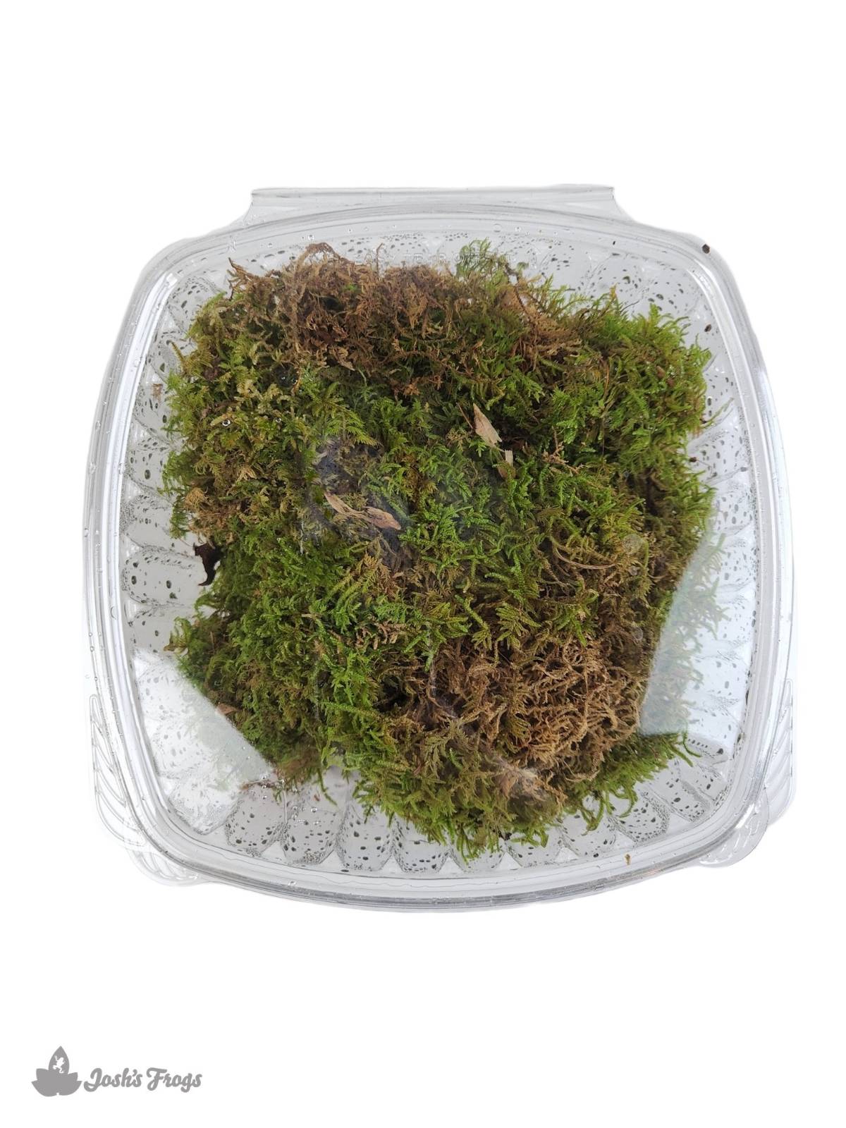 Josh's Frogs Terrarium Soil (1 Quart)